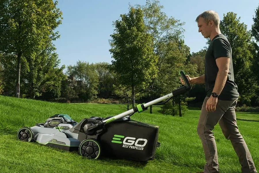 small lawn cutter